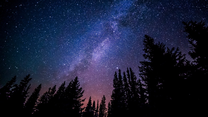 Tree sky night star milky way atmosphere 19853 pxhere.com